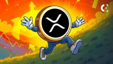 إليك الترجمة المحسّنة لعنوان المقال: **كم تبلغ قيمة استثمار 100 دولار في XRP منذ 2013 حتى الآن؟**