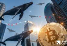 هل يستعد البيتكوين للانتعاش مع ارتفاع تراكم الحيتان بقيمة 190 مليون دولار؟