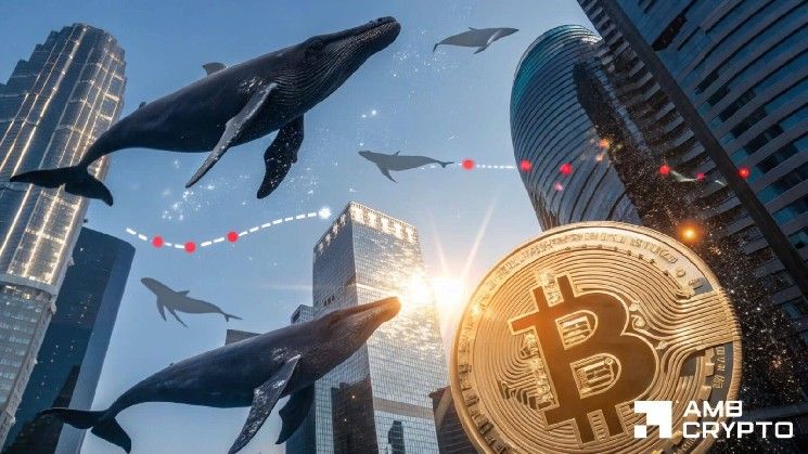 هل يستعد البيتكوين للانتعاش مع ارتفاع تراكم الحيتان بقيمة 190 مليون دولار؟
