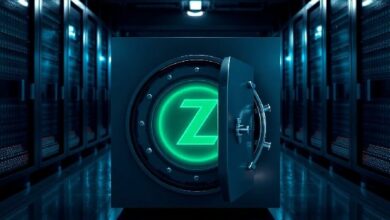 محفظة مجهولة تسحب 1% من إجمالي عرض عملة ZEC من مجمع الخصوصية Orchard الخاص بـ Zcash
