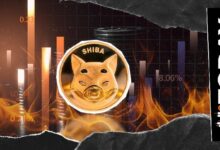 حرق 11 دولارًا فقط من عملة SHIB خلال 24 ساعة مع استمرار انخفاض معدل حرق Shiba Inu