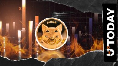 حرق 11 دولارًا فقط من عملة SHIB خلال 24 ساعة مع استمرار انخفاض معدل حرق Shiba Inu