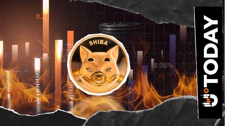 حرق 11 دولارًا فقط من عملة SHIB خلال 24 ساعة مع استمرار انخفاض معدل حرق Shiba Inu