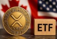 على الرغم من انخفاض السعر، بيانات صناديق الاستثمار المتداولة الفورية لـ XRP تظهر نتائج مثيرة