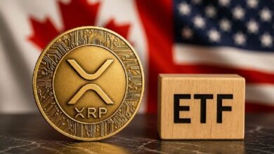 على الرغم من انخفاض السعر، بيانات صناديق الاستثمار المتداولة الفورية لـ XRP تظهر نتائج مثيرة
