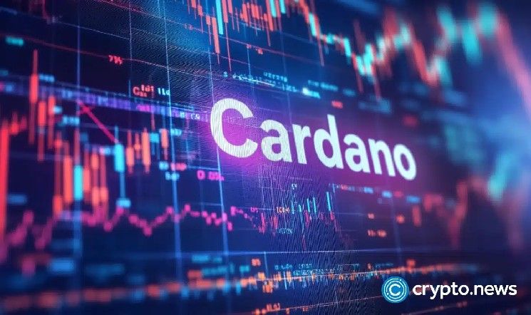 نشاط كاردانو الاجتماعي يتصاعد بينما تنهار عملة ADA. لماذا؟