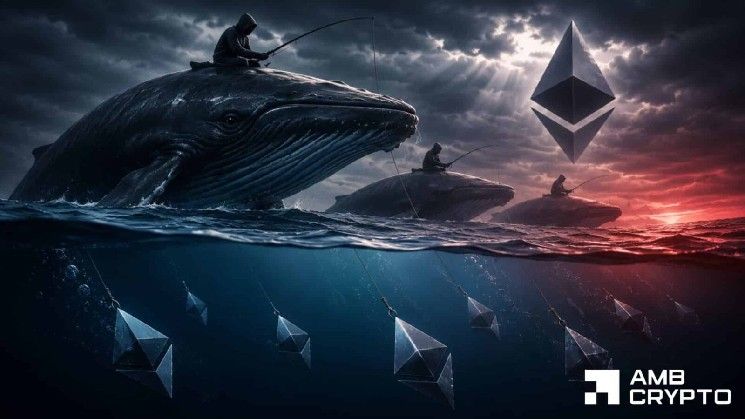 حيتان الإيثيريوم تراهن على الهبوط، لكن 73% من المتداولين يتجهون للشراء – من سينتصر؟