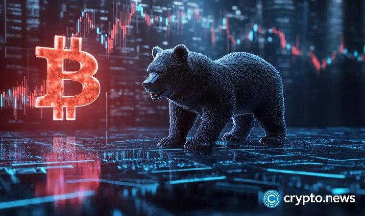 استراتيجية تتجنب إشارة الأزمة رغم التحوط الثقيل.. أنكوراج تكشف