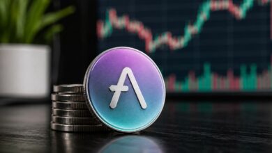ارتفاع سعر AAVE بعد أن رفض المؤسس ادعاء بيع الرموز بخصم 70%