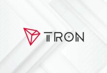 إطلاق صندوق "Hamilton Lane" المُرمّز HLSCOPE على شبكة Tron، أول منتج لـ"Securitize" يُصدر على سلسلة الكتل التي كانت موضع انتقاد