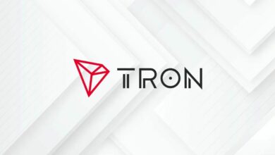 إطلاق صندوق "Hamilton Lane" المُرمّز HLSCOPE على شبكة Tron، أول منتج لـ"Securitize" يُصدر على سلسلة الكتل التي كانت موضع انتقاد