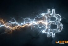 بيتغو تطلق خدمة "لايتنينغ إيرن" لتمكين المؤسسات من استثمار البيتكوين عبر شبكة لايتنينغ