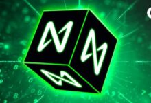 نيار يتحدى ضعف السوق بارتفاع 20%، ويستهدف 2 يورو