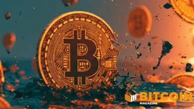 "أرى التقلب فرصة": البيتكوين يختبر دعمًا حاسمًا مع توقف مستوى رئيسي على المحك