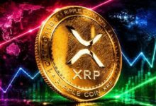 "بيع XRP لصالح SpaceX، لكن الرئيس التنفيذي لـ Teucrium يعتبرها فرصة نادرة"