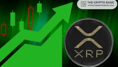 "تحليل XRP: الرسم البياني يبدو "جميلًا للغاية" وقد يصل السعر إلى 3 و8 و17 دولارًا"