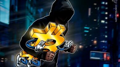 محكمة صينية تعتبر البيتكوين ممتلكات في قضية سرقة ذاكرة 107 BTC