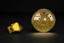 بيتكوين والذهب يهبطان معًا مع تراجع جميع الملاذات الآمنة بعد توقعات رفع الفائدة