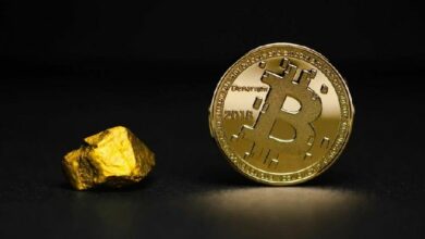 بيتكوين والذهب يهبطان معًا مع تراجع جميع الملاذات الآمنة بعد توقعات رفع الفائدة