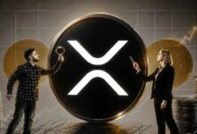 إذا وصل XRP إلى هدف سعري بين 150 و300 دولار، فلن يكون ذلك بدافع ضجيج السوق الصاعدة — وفقًا لمحلل