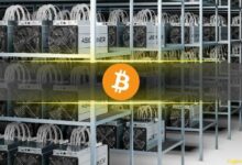 أرباح التعدين تجف عبر بيتكوين ودوجي وليتكوين وبيتكوين كاش