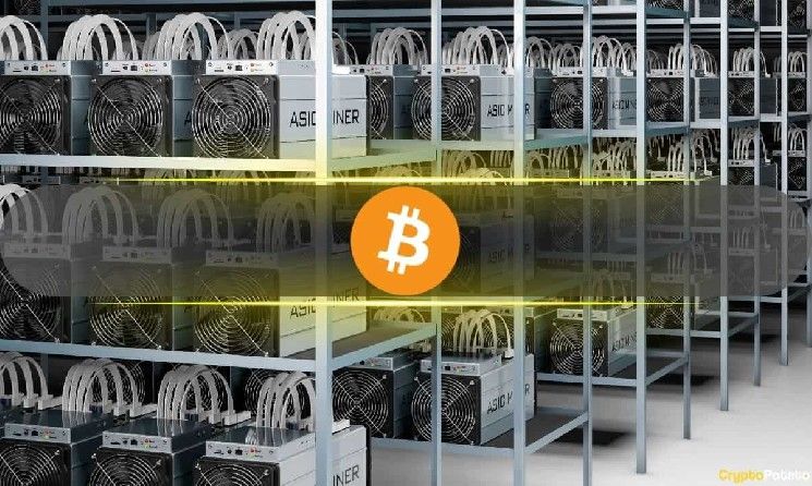 أرباح التعدين تجف عبر بيتكوين ودوجي وليتكوين وبيتكوين كاش