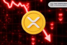 حوت XRP يتكبد 28 مليون دولار تصفية مع انزلاق الرمز نحو دولار واحد