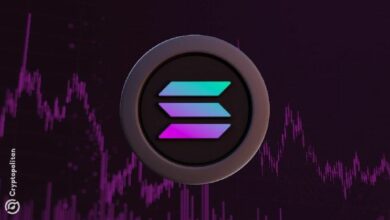 تتصدر سولانا جميع سلاسل الكتل في أعداد حائزي الأصول الحقيقية، معيدة تشكيل الخريطة التنافسية للتَّوْكِين