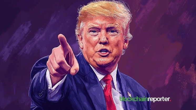 بايبيت تراهن على جنون عملات الميم بجائزة 100 ألف دولار لتداول رمز $TRUMP