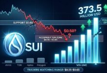 حجم تداول SUI يقفز إلى 373.5 مليون دولار مع تطلع السوق إلى نطاق تراكم حاسم