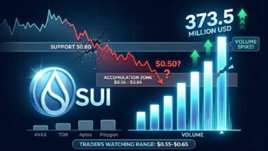حجم تداول SUI يقفز إلى 373.5 مليون دولار مع تطلع السوق إلى نطاق تراكم حاسم