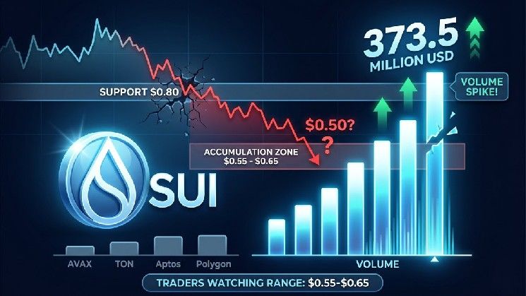 حجم تداول SUI يقفز إلى 373.5 مليون دولار مع تطلع السوق إلى نطاق تراكم حاسم