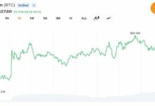 بيتكوين يتعافى فوق 64 ألف دولار مع تصفية 282.5 مليون دولار من تداولات المشتقات