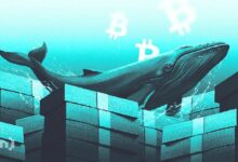 ما الذي يشتريه ويبيعه كبار مستثمري العملات الرقمية مع انخفاض البيتكوين دون 66,000 دولار