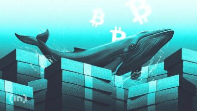 ما الذي يشتريه ويبيعه كبار مستثمري العملات الرقمية مع انخفاض البيتكوين دون 66,000 دولار