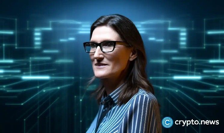 آرك إنفست تشتري كوين بيس، روبن هود، سيركل وبوليش مع انخفاض السوق