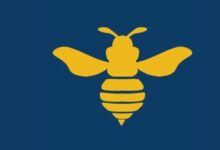 دراسة من جامعة كولومبيا تثبت أداء وحدات معالجة الرسومات (GPU) لشركة HIVE Digital في باراغواي