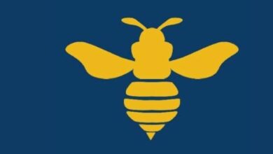 دراسة من جامعة كولومبيا تثبت أداء وحدات معالجة الرسومات (GPU) لشركة HIVE Digital في باراغواي