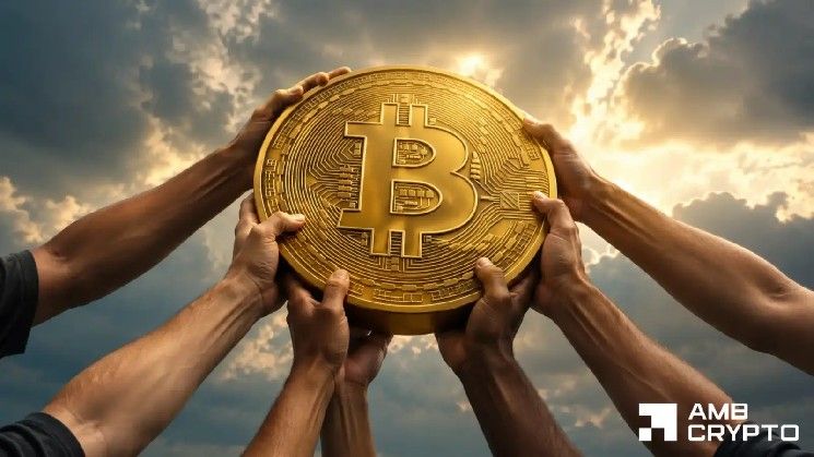 هل وصلت بيتكوين إلى القاع؟ عملة BTC تبني جدار دعم ضخم وسط "أحد أكبر التحويلات في التاريخ"