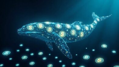 حوت شيبا الأولي يبيع 3.8 تريليون توكن بقيمة 20.7 مليون دولار خلال شهر، ولا يزال يحتفظ بحصة بـ457 مليون دولار