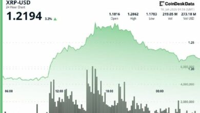 XRP يستعيد مكاسبه بعد صعود 10% مع جني الأرباح بالقرب من 1.25 دولار