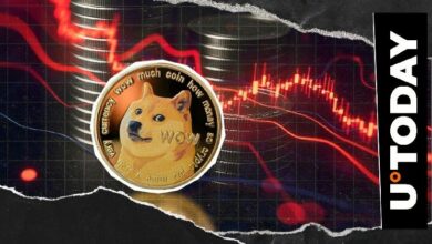 **بيتكوين تواجه تعليقًا "انحدار الكلب" مع تصفية سوق بقيمة مليار دولار**