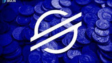 ما هي عملة XLM من Stellar؟ شرح شامل