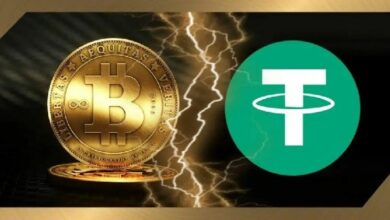 معارض البيتكوين بيتر شيف يتوقع تخطي القيمة السوقية لـ USDT للبيتكوين! التفاصيل هنا