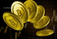 أكبر 10 انهيارات لبيتكوين في التاريخ