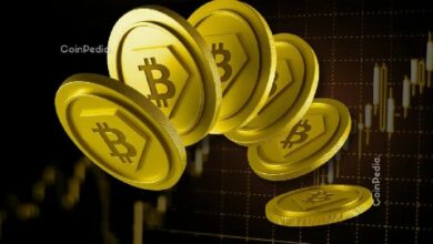 أكبر 10 انهيارات لبيتكوين في التاريخ
