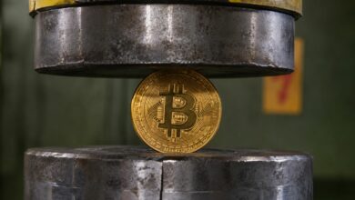 هل سيكسر البيتكوين حاجز 73,000 دولار مع تضرر المضاربين من تدفقات صناديق الاستثمار المتداولة الخارجة؟