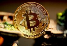 توقع سعر البيتكوين: إشارة قاع BTC تعود مع استهداف الثيران لمستوى 68.5 ألف دولار