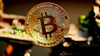 توقع سعر البيتكوين: إشارة قاع BTC تعود مع استهداف الثيران لمستوى 68.5 ألف دولار