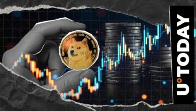 شوكت دويتكوين تحت الأضواء في حدث العملات الرقمية بنيوزيلندا